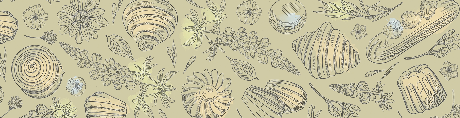 Custom illustration work by SOTDESIGN